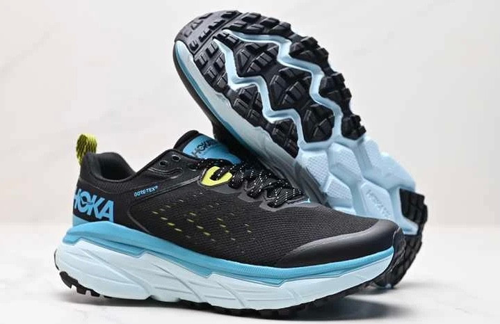 کتونی هوکا چلنجر آرت 6 گورتکس سایز ۴۰ تا ۴۵ Hoka Challenger Art 6 Goretex