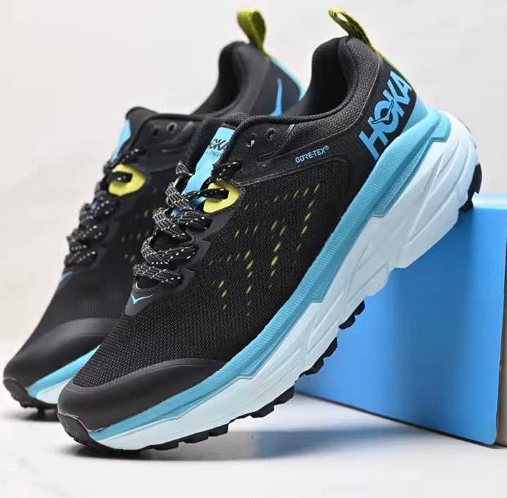 کتونی هوکا چلنجر آرت 6 گورتکس سایز ۴۰ تا ۴۵ Hoka Challenger Art 6 Goretex